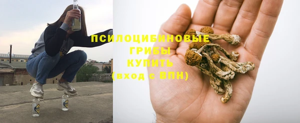 мдпв Туринск