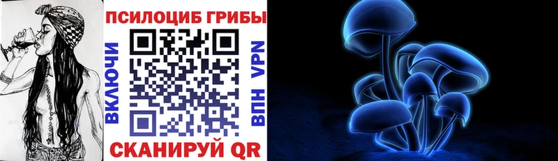 Псилоцибиновые грибы Magic Shrooms как найти наркотики Николаевск